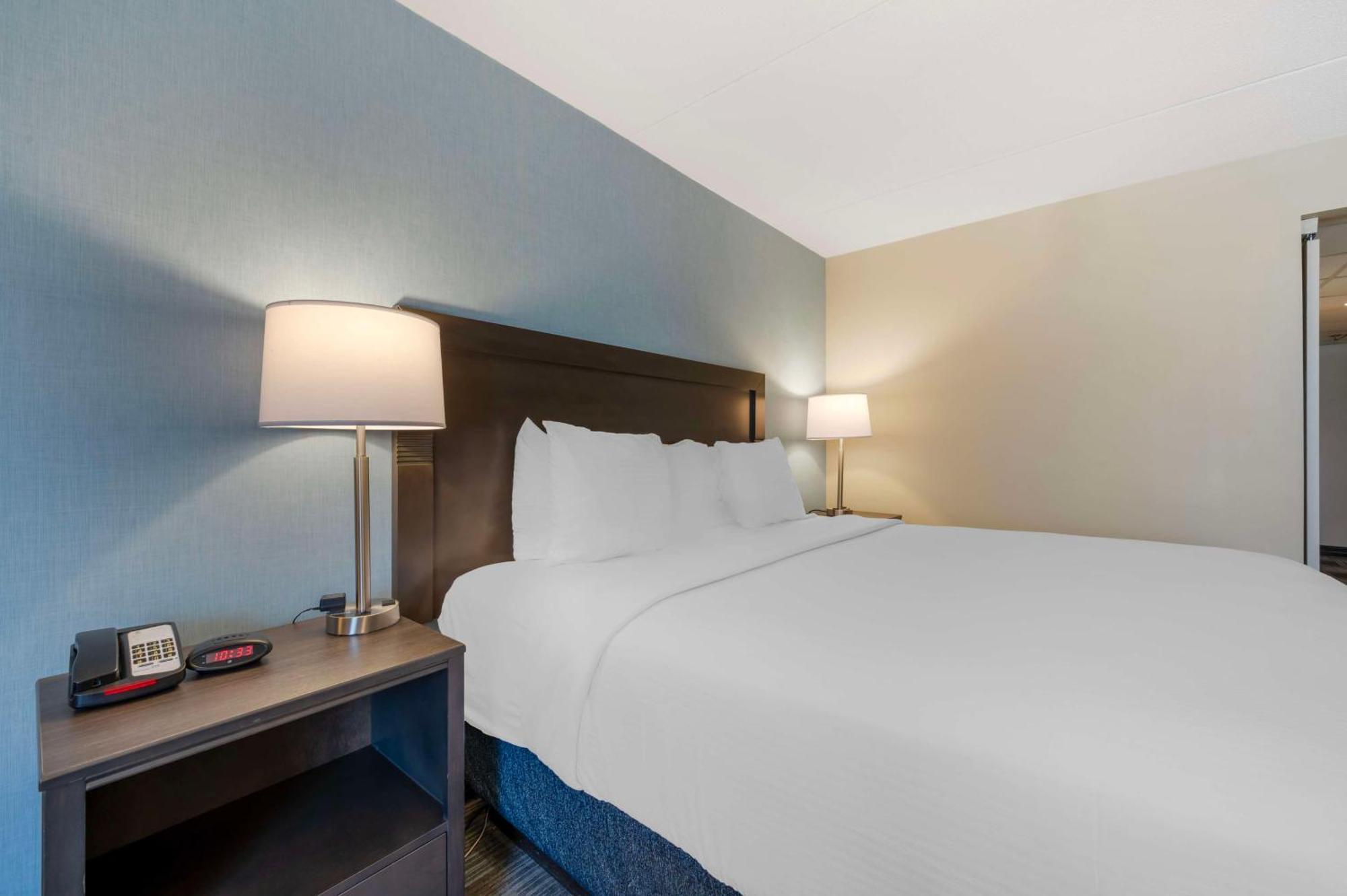Best Western Plus Alexandria Fort Belvoir Mount Vernon Exterior photo
